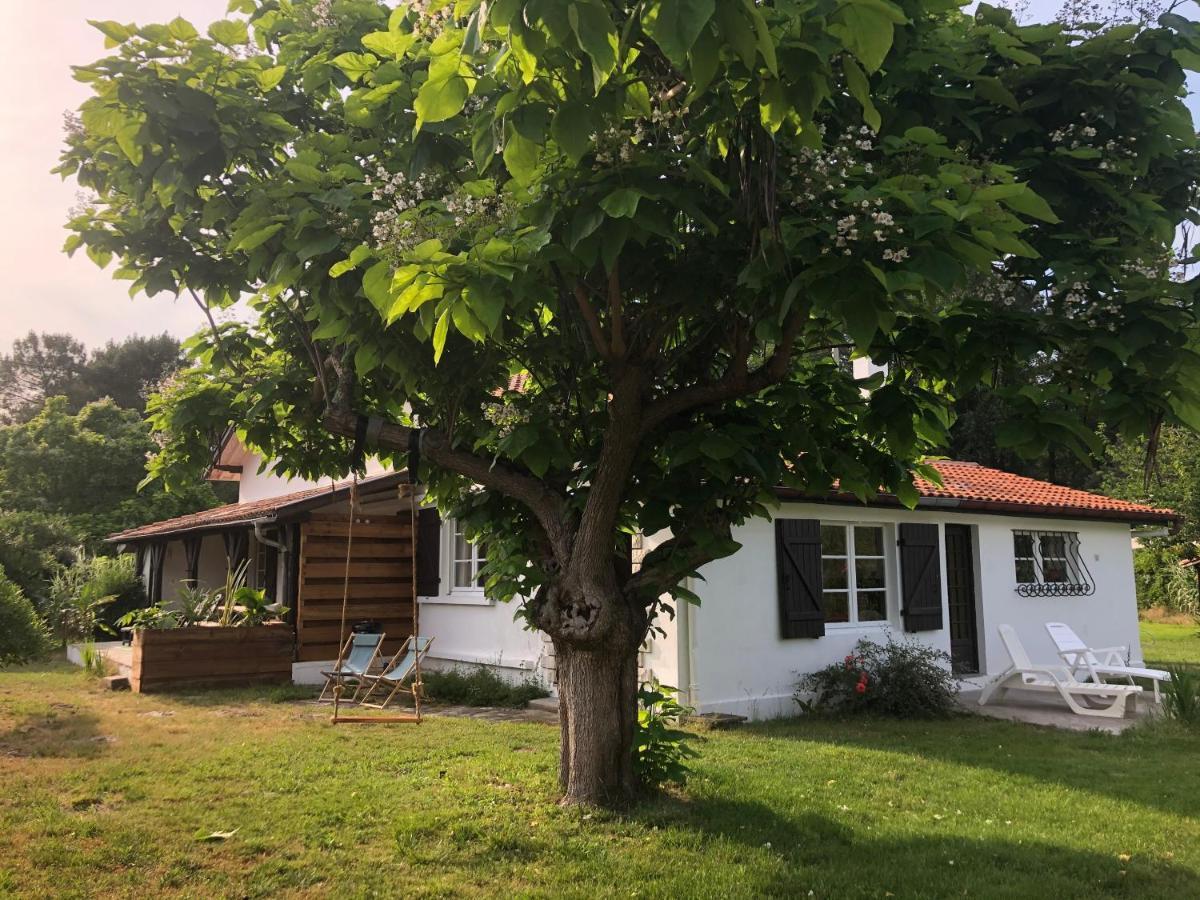 Villa Orcas Леон Экстерьер фото